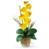 21'' Potted Yellow Moth Orchid Arrangement -Michaels Shop D262166S 11