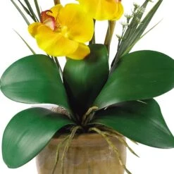 21'' Potted Yellow Moth Orchid Arrangement -Michaels Shop D262166S 12