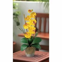 21'' Potted Yellow Moth Orchid Arrangement -Michaels Shop D262166S 13