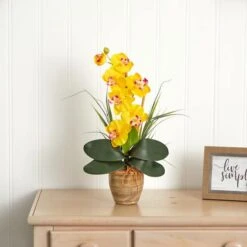 21'' Potted Yellow Moth Orchid Arrangement -Michaels Shop D262166S 14