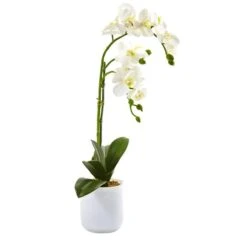 18.5" Moth Orchid In Frosted Glass -Michaels Shop D262171S 12