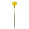 Yellow Calla Lily Stems, 12ct. -Michaels Shop D262200S 1