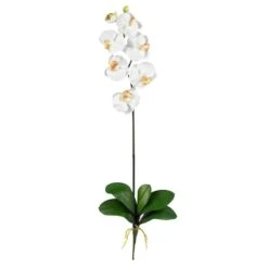 White Moth Orchid Stem, 12ct.