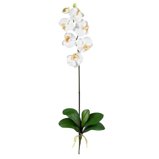 White Moth Orchid Stem, 12ct. 3 White Moth Orchid Stem, 12ct.