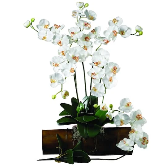 White Moth Orchid Stem, 12ct. 5 White Moth Orchid Stem, 12ct. - Image 3