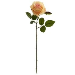 Peach Rose Stems, 24ct.