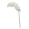 White Moth Orchid Stem, 3ct. -Michaels Shop D262215S 11