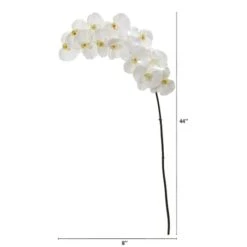 White Moth Orchid Stem, 3ct. -Michaels Shop D262215S 12