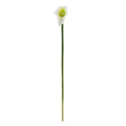 White Calla Lily Stem, 12ct.