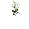 White Lily Stem, 12ct. -Michaels Shop D262221S 1