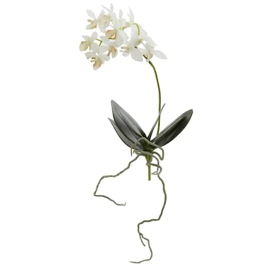 White Mini Moth Orchid Stem, 6ct. 4 White Mini Moth Orchid Stem, 6ct. - Image 2