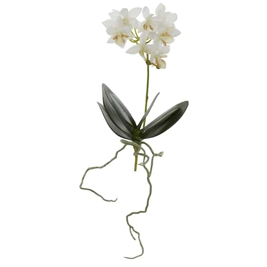 White Mini Moth Orchid Stem, 6ct. 5 White Mini Moth Orchid Stem, 6ct. - Image 3