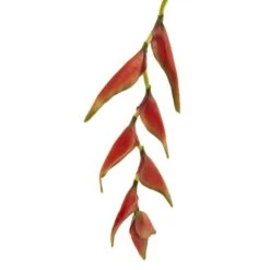 Orange Hanging Lobster Claw Flower, 4ct. 9 Orange Hanging Lobster Claw Flower, 4ct. -Michaels Shop D262229S 3