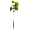 Green Snowball Hydrangea Stem, 6ct. -Michaels Shop D262233S 1