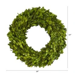14'' Green Preserved Boxwood Wreath -Michaels Shop D262258S 12