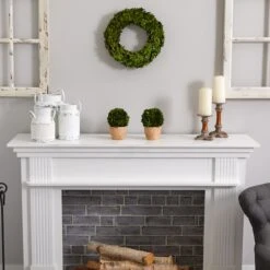 14'' Green Preserved Boxwood Wreath -Michaels Shop D262258S 14