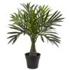 15.5" Potted Mini Areca Palm Plant -Michaels Shop D262273S 1
