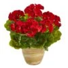 11'' Red Geranium In Ceramic Planter