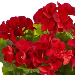 11'' Red Geranium In Ceramic Planter -Michaels Shop D262293S 14