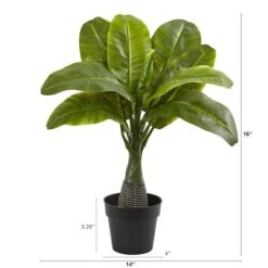 16" Potted Mini Banana Plant -Michaels Shop D262324S 2