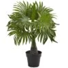 15.5" Potted Mini Fountain Palm Plant -Michaels Shop D262325S 1