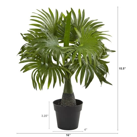 15.5" Potted Mini Fountain Palm Plant 5 15.5" Potted Mini Fountain Palm Plant - Image 3