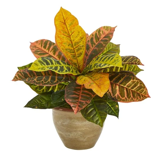 15" Garden Croton Plant In Ceramic Planter 4 15" Garden Croton Plant In Ceramic Planter - Image 2