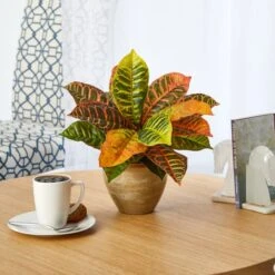 15" Garden Croton Plant In Ceramic Planter 8 15" Garden Croton Plant In Ceramic Planter -Michaels Shop D262331S 3
