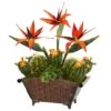 21" Bird Of Paradise & Cactus Plant In Metal Planter -Michaels Shop D262359S 1