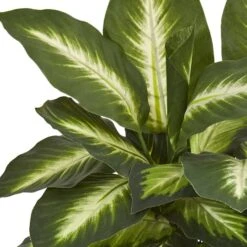 18" Dieffenbachia Tree In Ceramic Planter -Michaels Shop D262462S 12