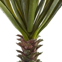 Green Spiky Agave Succulent, 2ct. -Michaels Shop D262467S 13