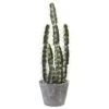 2ft. Cactus Garden In Cement Planter -Michaels Shop D262468S 11