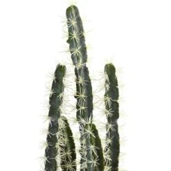2ft. Cactus Garden In Cement Planter -Michaels Shop D262468S 12