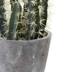 2ft. Cactus Garden In Cement Planter -Michaels Shop D262468S 13