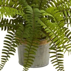 14" Fern In Decorative Pot, 3ct. -Michaels Shop D262469S 13