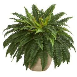 22" Boston Fern In Sandstone Planter 6 22" Boston Fern In Sandstone Planter -Michaels Shop D262470S 11 1