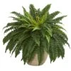 22" Boston Fern In Sandstone Planter 1 22" Boston Fern In Sandstone Planter -Michaels Shop D262470S 11