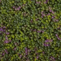 Purple & Green Clover Mat, 12ct. -Michaels Shop D262472S 15