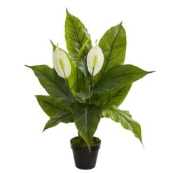 2ft. Potted Peace Lily -Michaels Shop D262477S 1 1