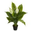 2ft. Potted Peace Lily -Michaels Shop D262477S 1