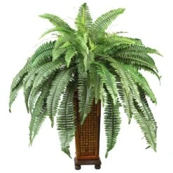 2.5ft. Boston Fern In Wood Vase