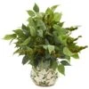 13" Mixed Ficus, Fittonia & Berry In Floral Vase -Michaels Shop D262483S 11