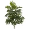 30" Areca Palm Plant, 3ct. -Michaels Shop D262484S 1