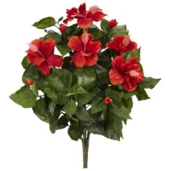 Red Hibiscus Bush, 4ct.