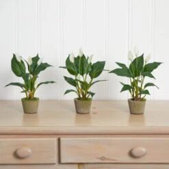 11" Peace Lily With Cement Planter, 3ct. 10 11" Peace Lily With Cement Planter, 3ct. -Michaels Shop D262494S 13