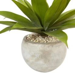 24" Agave Plant In Sand Planter -Michaels Shop D262505S 12