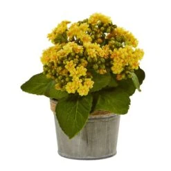 9" Kalanchoe Arrangement In Decorative Pot, 3ct. -Michaels Shop D262522S 2