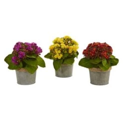 9" Kalanchoe Arrangement In Decorative Pot, 3ct. -Michaels Shop D262522S 5