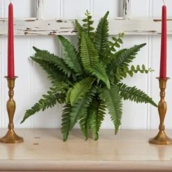 Boston Fern, 6ct. -Michaels Shop D262533S 14