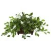 14" Mix Stephanotis In Rectangular Decorative Planter -Michaels Shop D262537S 1